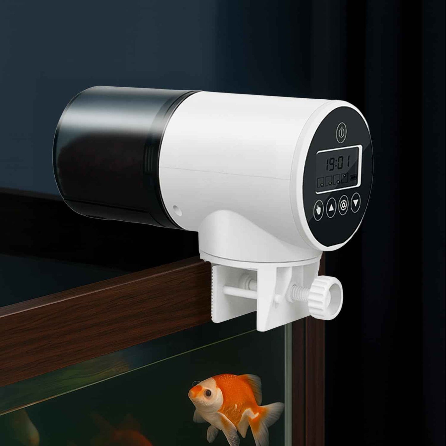 Amazon Basics Automatic Fish Feeder | Programmable 3-Way Timer (8H/12H/24H) | 360° Rotating Design | Works with Flakes, Pellets & Granules | for Aquariums, Tanks & Ponds