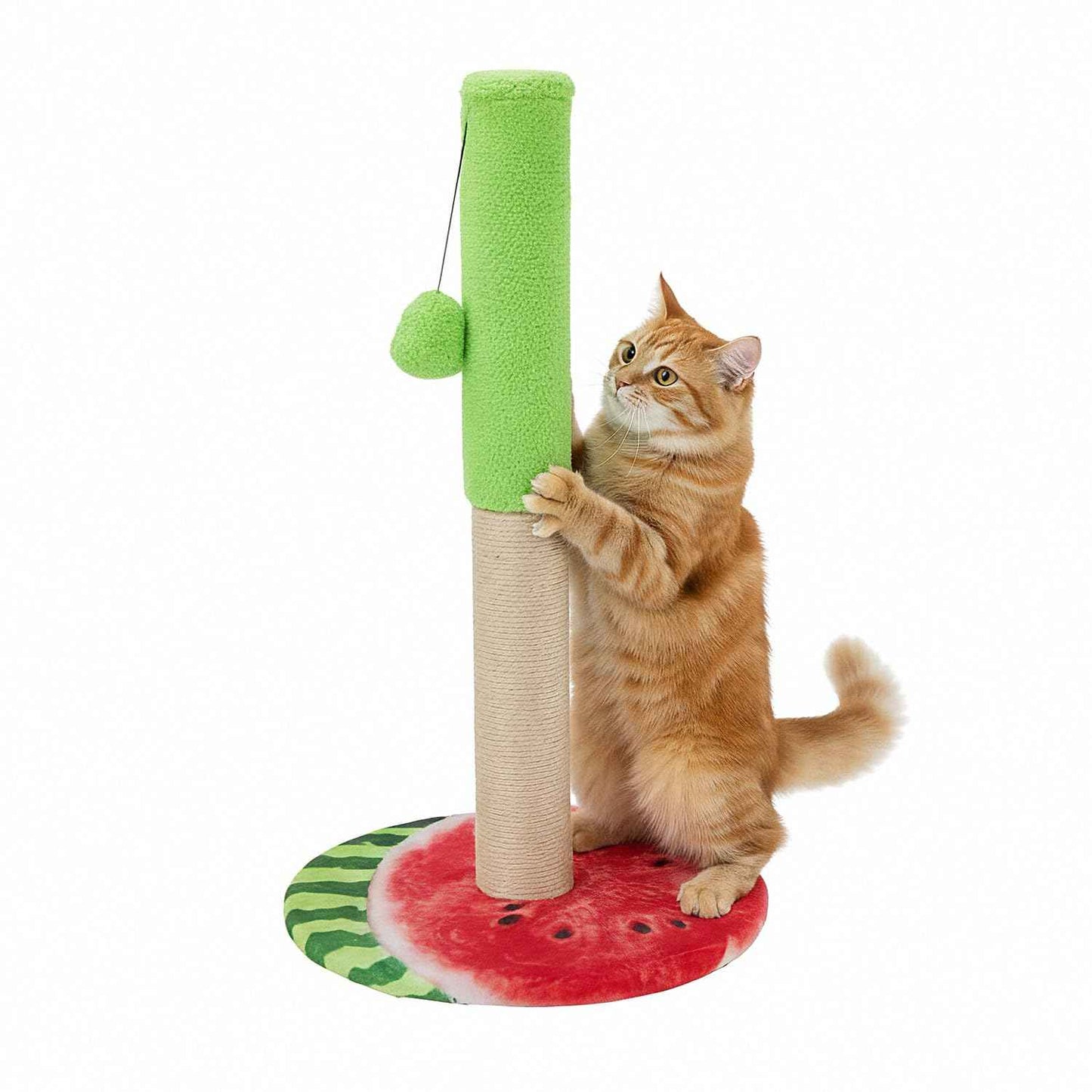 Amazon Basics Cat Scratching Pole and Lounge Bed, with Hanging Star and Ball, Natural Jute, Sturdy Wooden Base, 50cm (S)