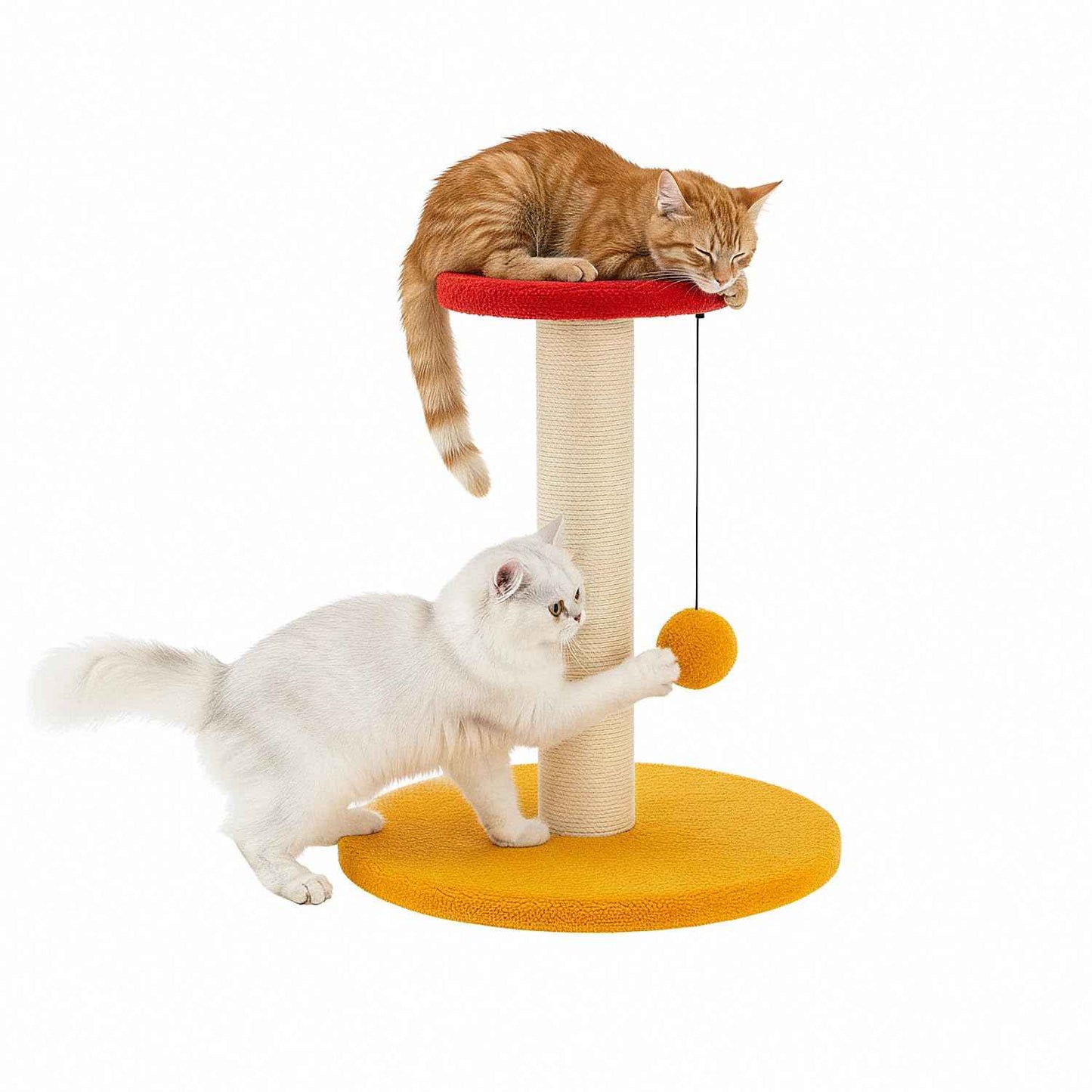 Amazon Basics Cat Scratching Pole and Lounge Bed, with Hanging Star and Ball, Natural Jute, Sturdy Wooden Base, 50cm (S)