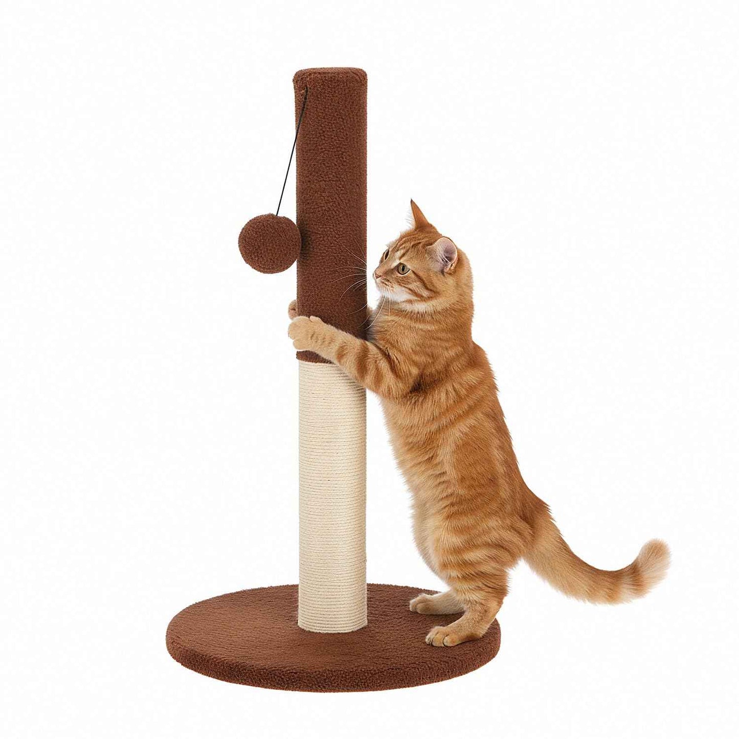 Amazon Basics Cat Scratching Pole and Lounge Bed, with Hanging Star and Ball, Natural Jute, Sturdy Wooden Base, 50cm (S)
