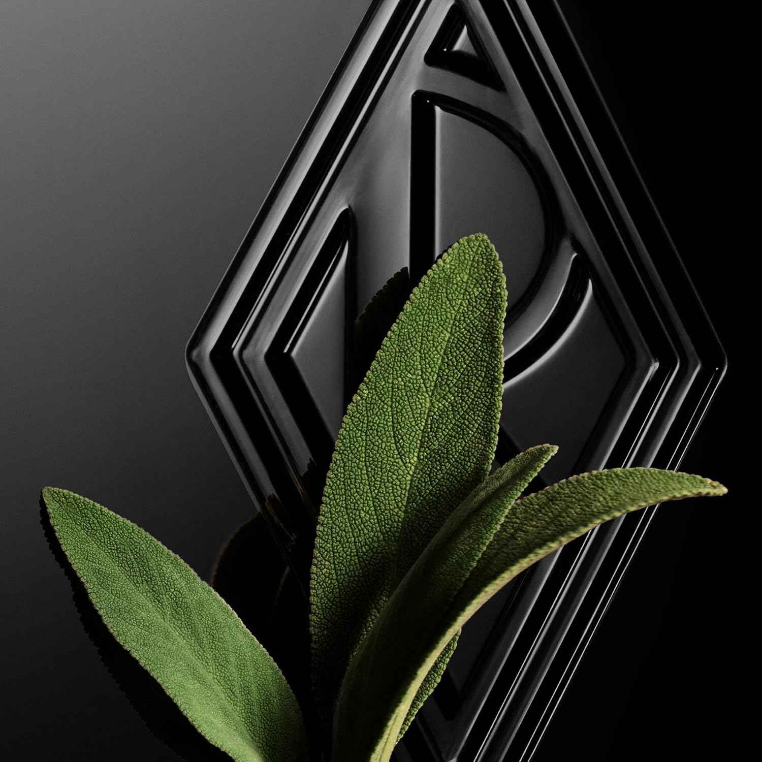 Ralph Lauren - Ralph's Club - Eau de Toilette 150 ml - Men's Cologne - Woody & Aromatic - With Grapefruit, Lavandin, & Patchouli - Intense Fragrance