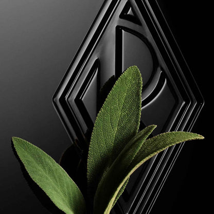 Ralph Lauren - Ralph's Club - Eau de Toilette 150 ml - Men's Cologne - Woody & Aromatic - With Grapefruit, Lavandin, & Patchouli - Intense Fragrance